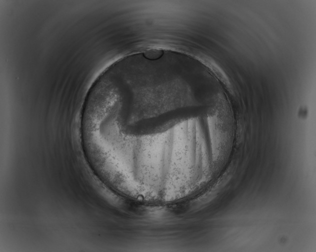 X0000101150798200807181332