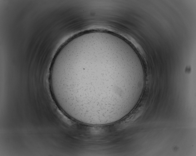 X0000101150799200807181332