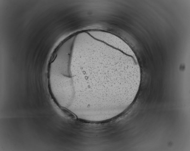 X0000101150800200807181332