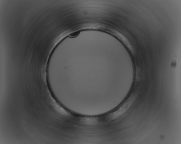 X0000101150802200807181332