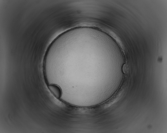 X0000101150803200807181332