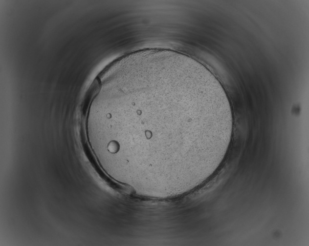 X0000101150804200807181332