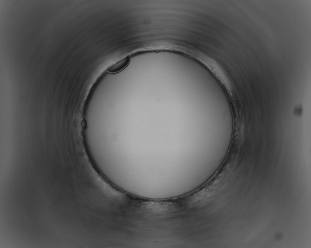 X0000101150805200807181332