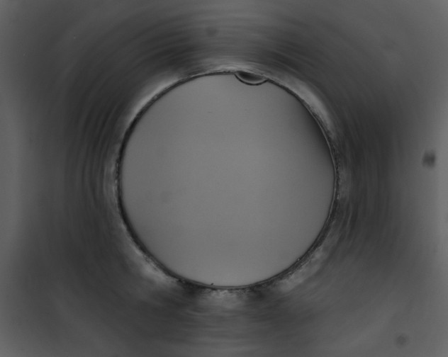 X0000101150806200807181332