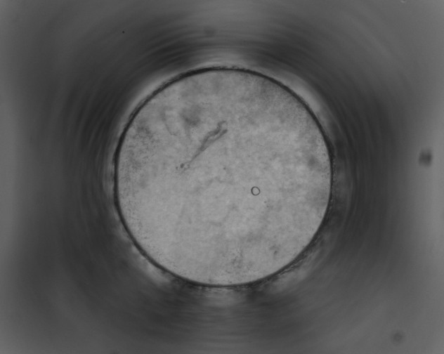 X0000101150807200807181332