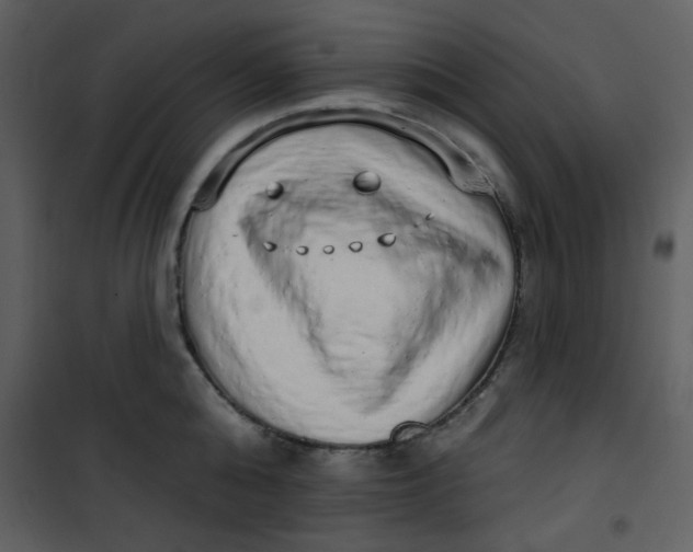 X0000101150808200807181332