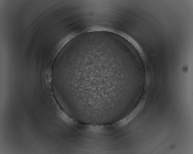 X0000101150809200807181332