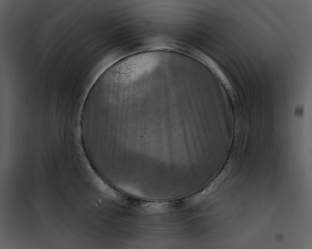 X0000101150810200807181332