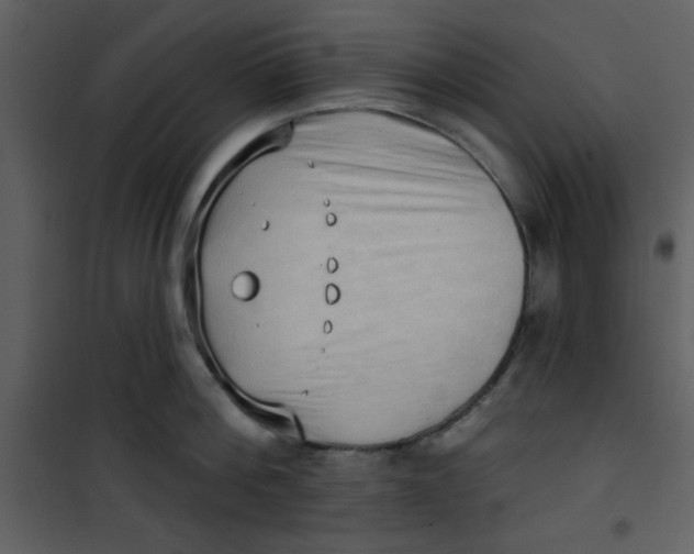 X0000101150812200807181332