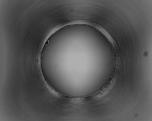 X0000101150813200807181332