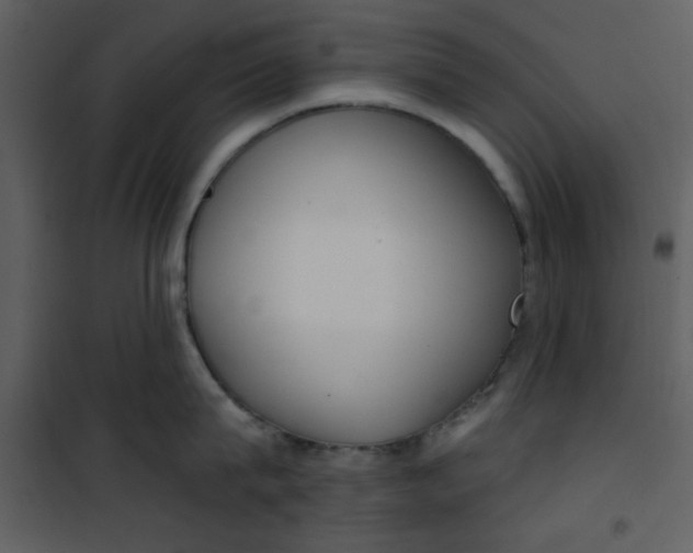 X0000101150815200807181332