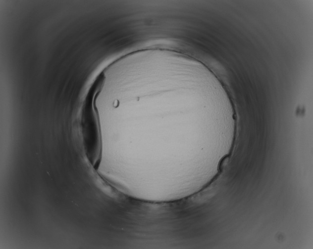 X0000101150816200807181332