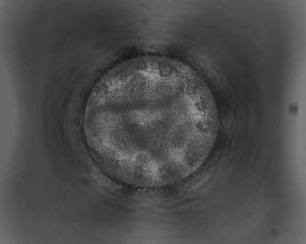 X0000101150817200807181331