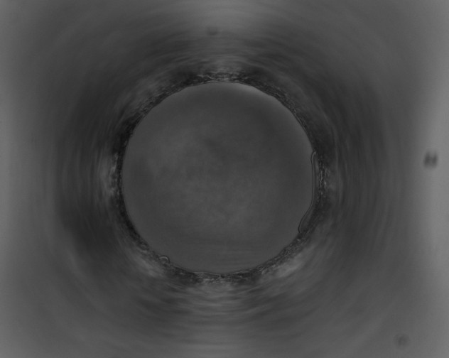 X0000101150818200807181332