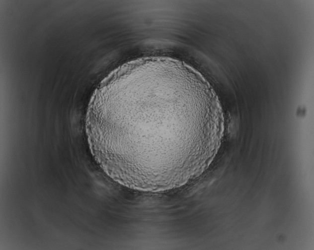 X0000101150819200807181332