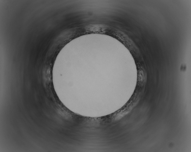 X0000101150820200807181332