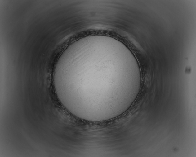 X0000101150821200807181332