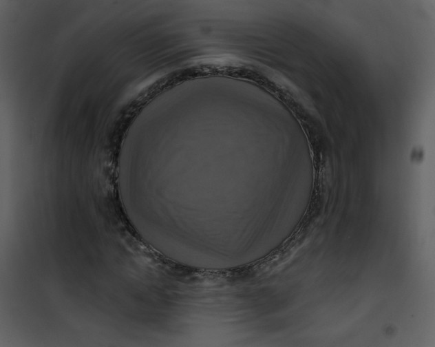 X0000101150822200807181332