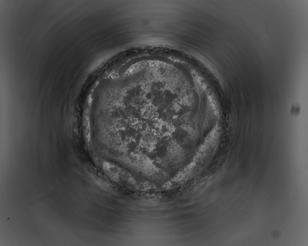 X0000101150823200807181332