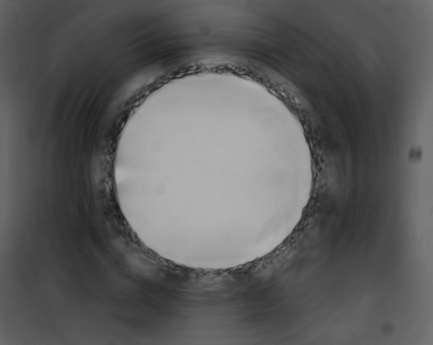 X0000101150824200807181332