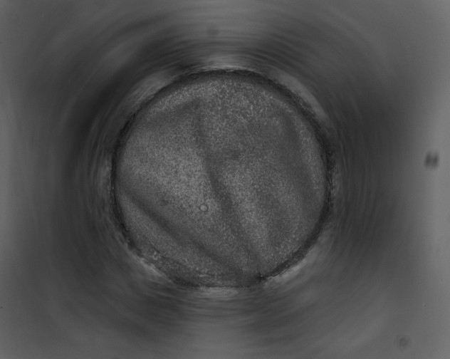 X0000101150825200807181332