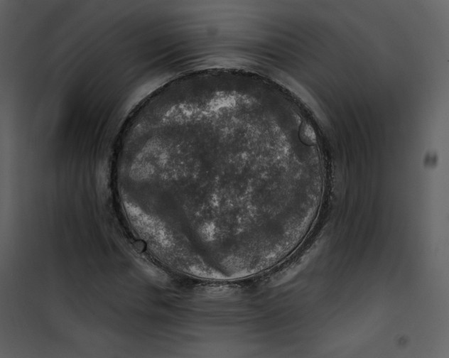 X0000101150826200807181332