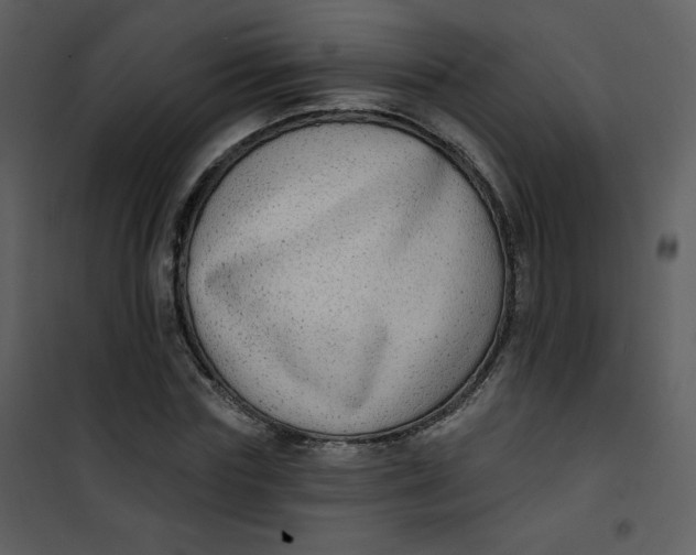 X0000101150827200807181332