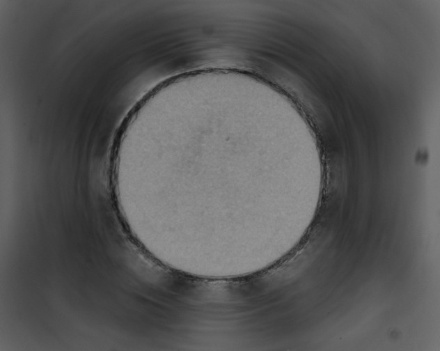 X0000101150828200807181332