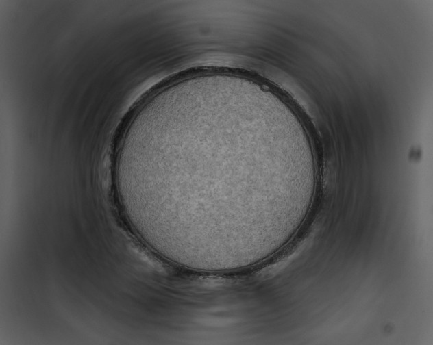 X0000101150829200807181332