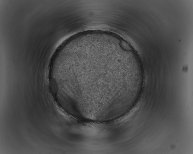 X0000101150830200807181332