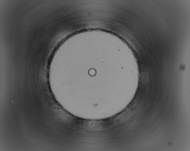 X0000101150832200807181332