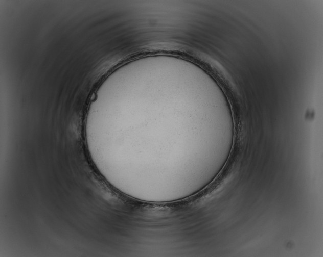 X0000101150833200807181332