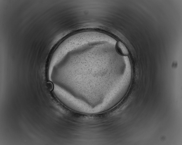 X0000101150834200807181332