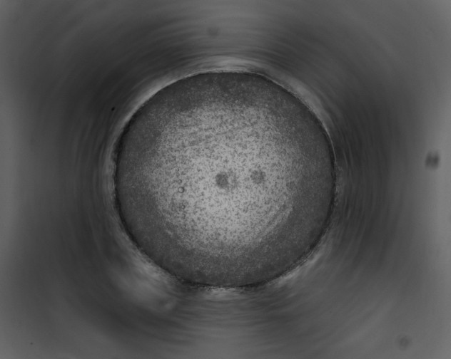 X0000101150835200807181332