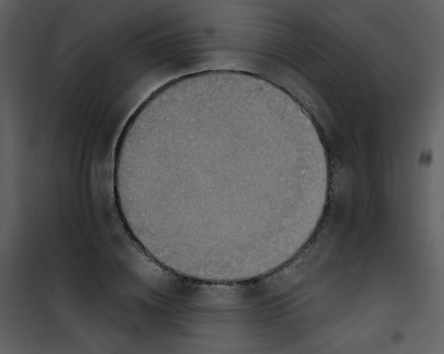 X0000101150836200807181332