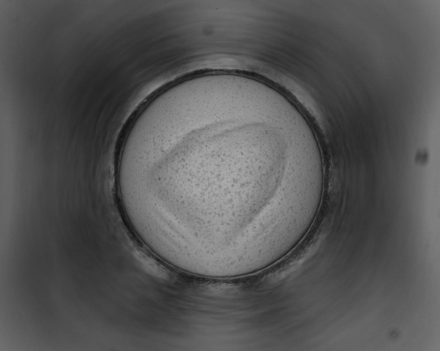 X0000101150837200807181332