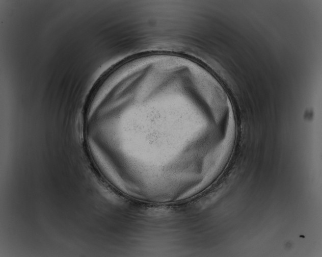 X0000101150838200807181332