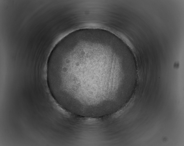 X0000101150839200807181332