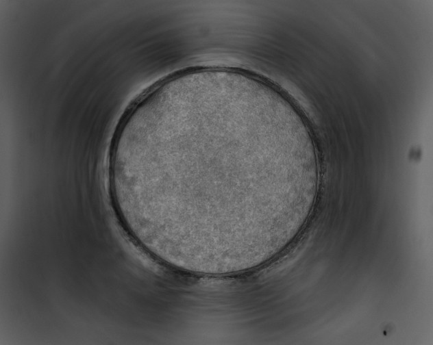 X0000101150840200807181332