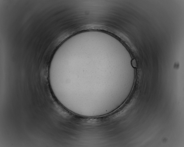 X0000101150841200807181332