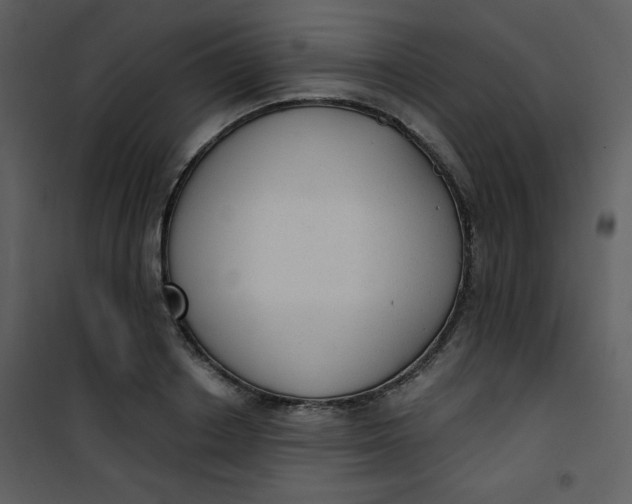 X0000101150842200807181332