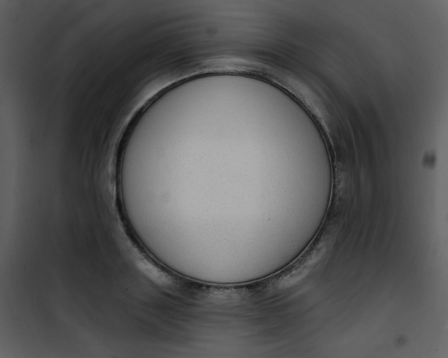 X0000101150843200807181332