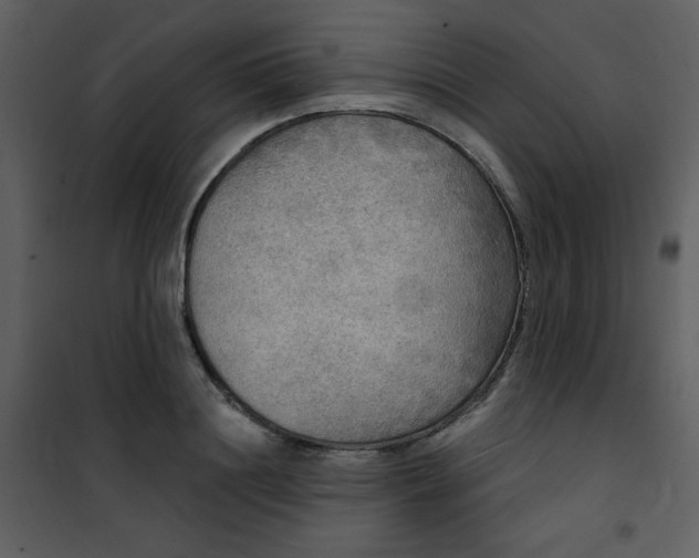 X0000101150844200807181332