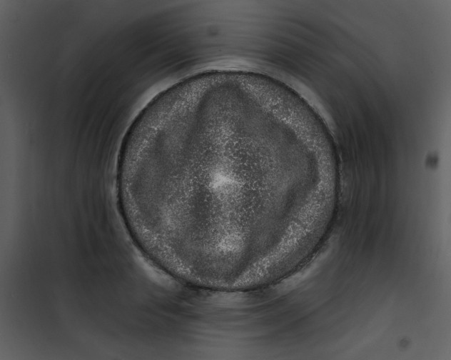 X0000101150845200807181332