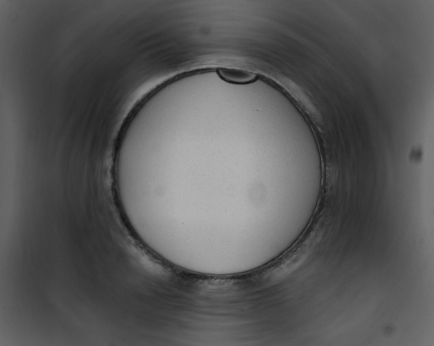 X0000101150846200807181332