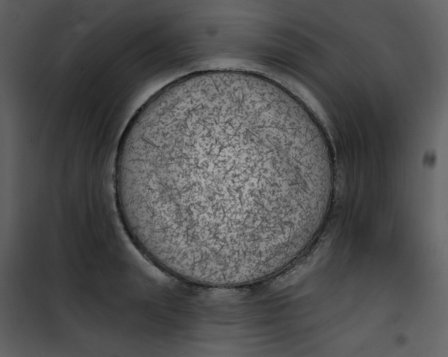 X0000101150847200807181332