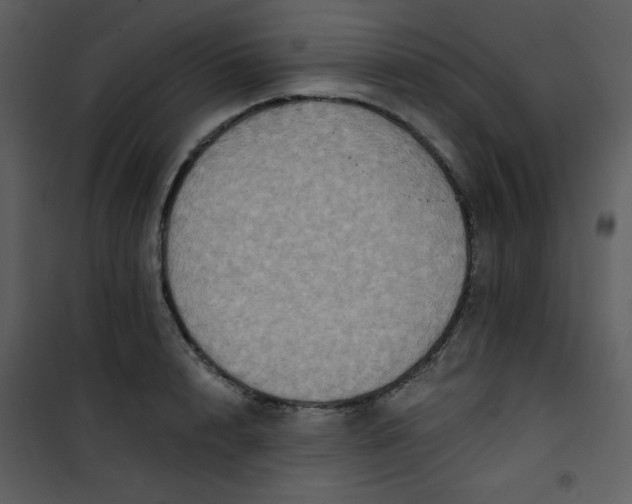 X0000101150848200807181332