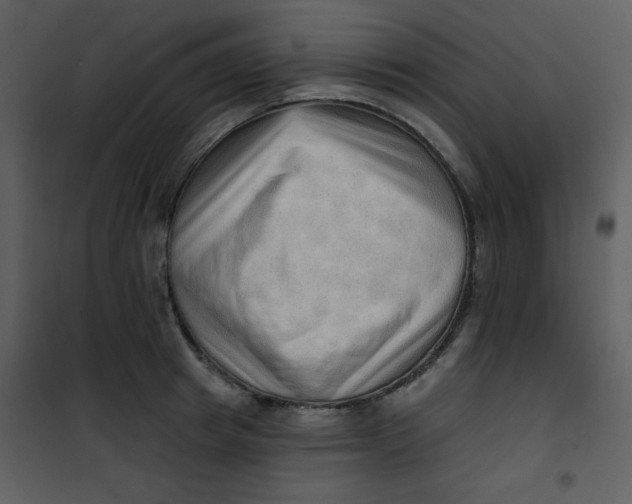 X0000101150849200807181332