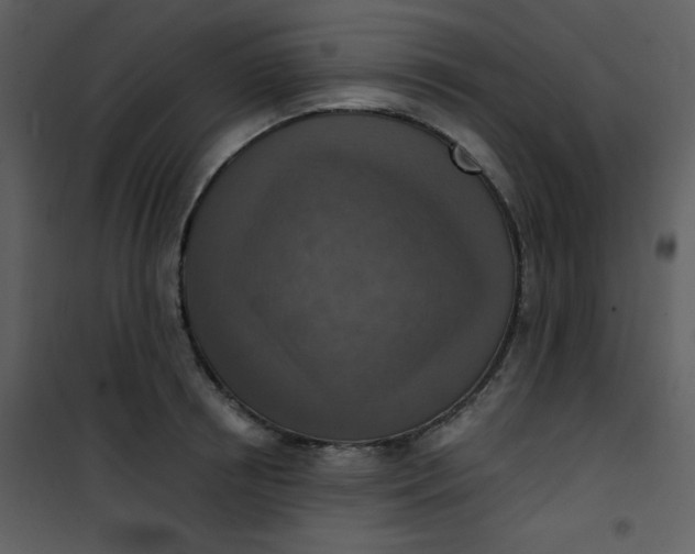 X0000101150850200807181332