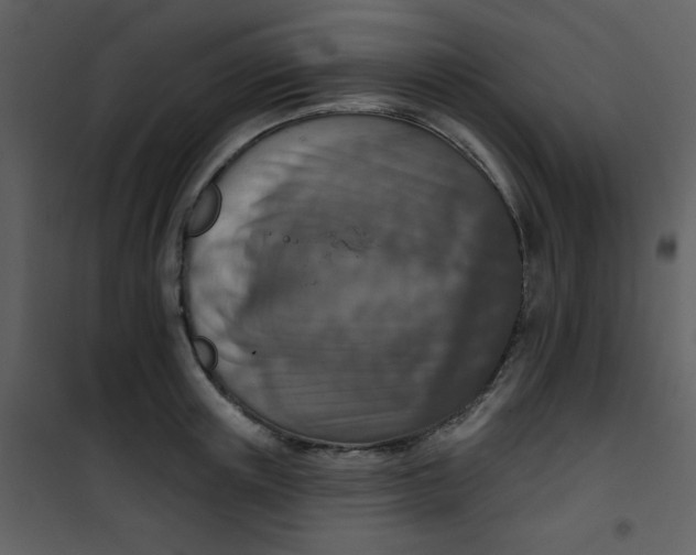 X0000101150851200807181332